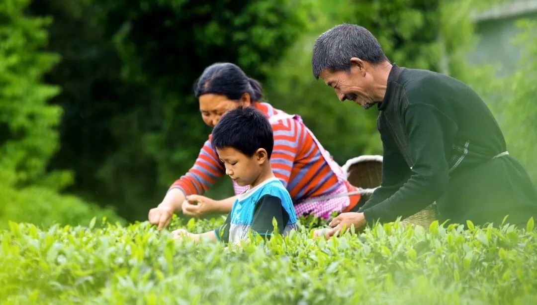 MAIN202007301113000320112562733.jpg MAIN202007301113000320112562733.jpg