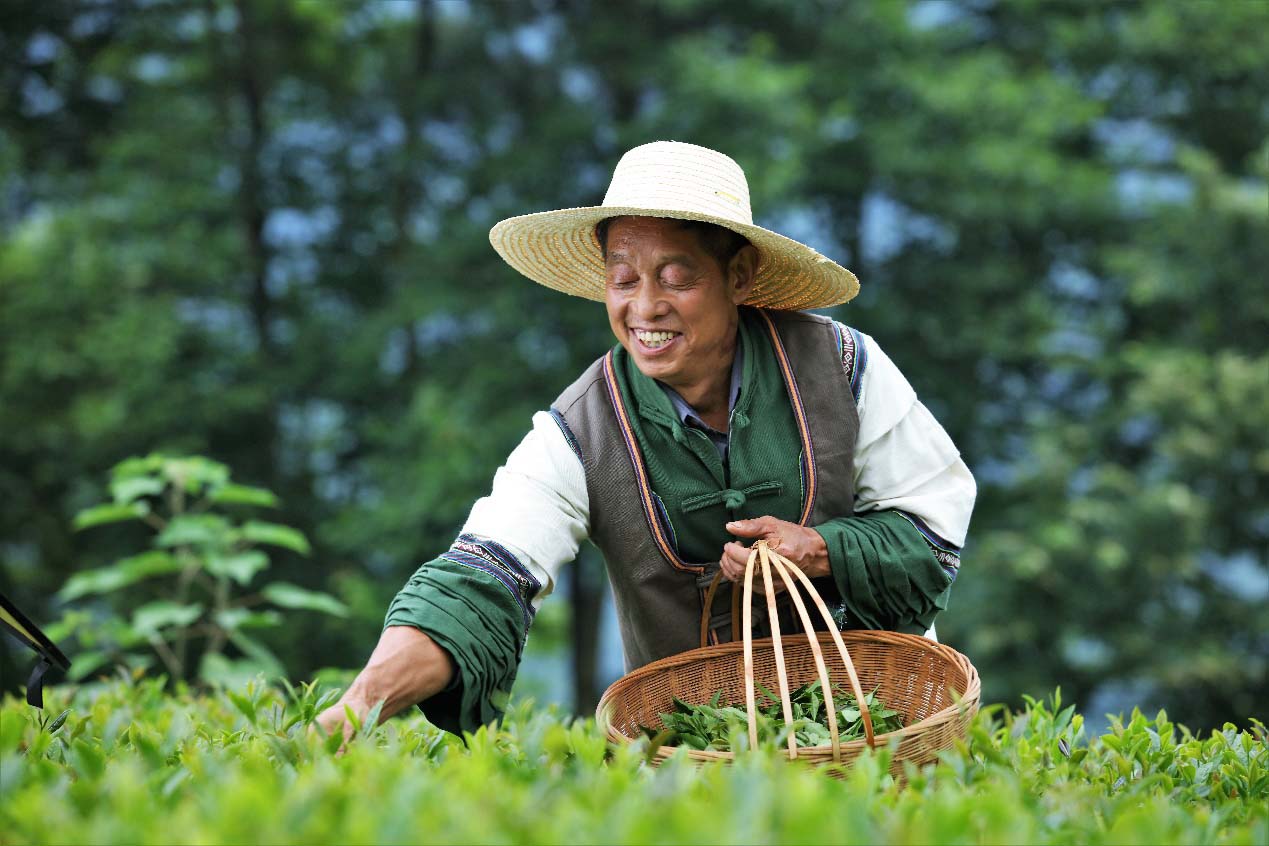 MAIN202007301112000114270861718.jpg MAIN202007301112000114270861718.jpg