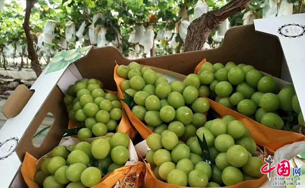 97638202102221631511032.jpg 97638202102221631511032.jpg