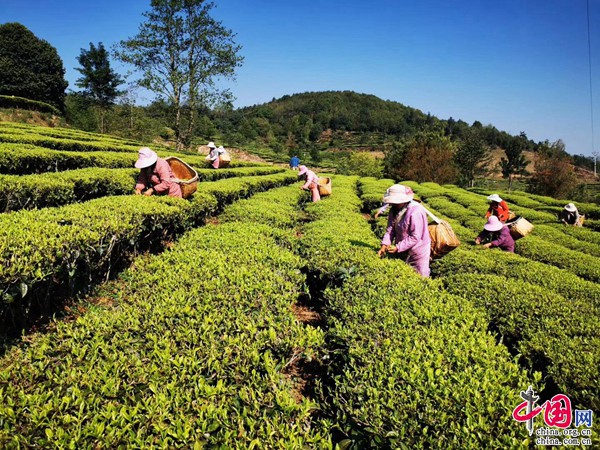 1e8c0202102221631102534.jpg 1e8c0202102221631102534.jpg