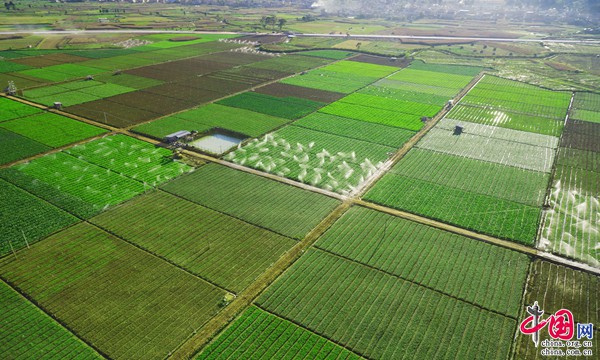 558aa202102221631289862.jpg 558aa202102221631289862.jpg