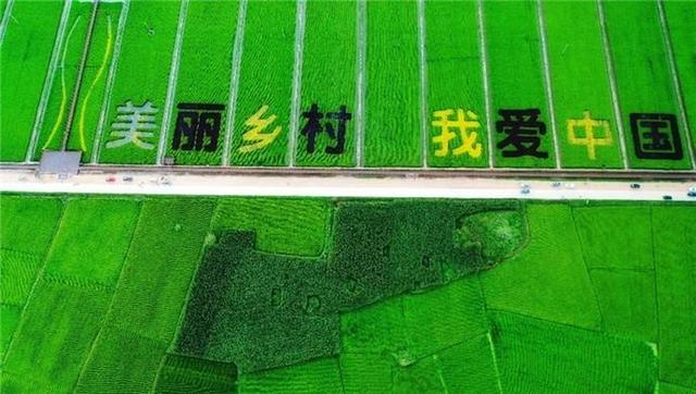 dbb44aed2e738bd4869fcc48625049d1267ff974.jpg dbb44aed2e738bd4869fcc48625049d1267ff974.jpg