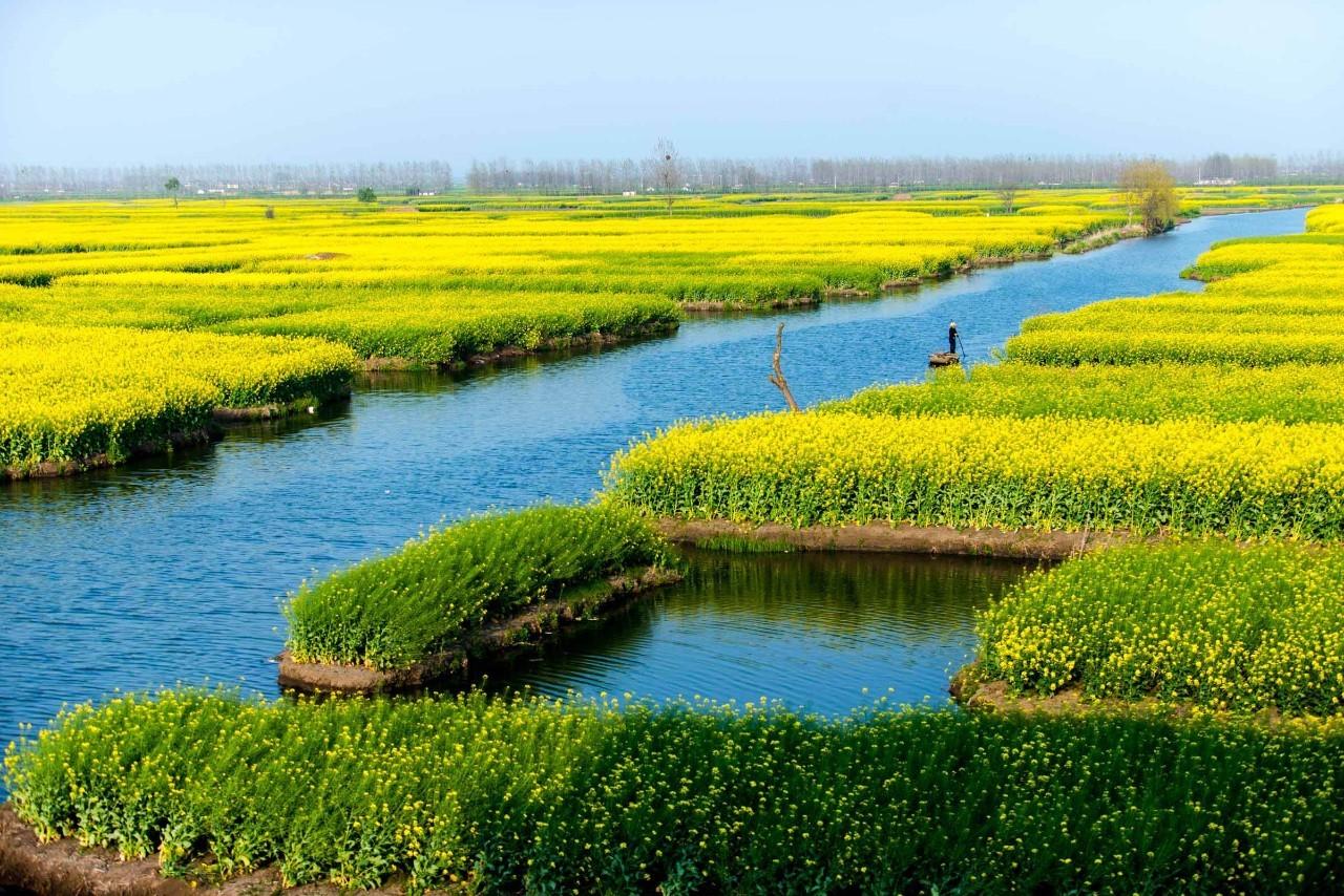 W020210114713244666575.jpg W020210114713244666575.jpg