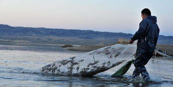 W020210114713240451181.png W020210114713240451181.png