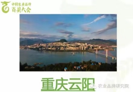 微信图片_20191119140803.jpg