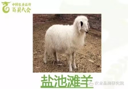 微信图片_20191119140752.jpg