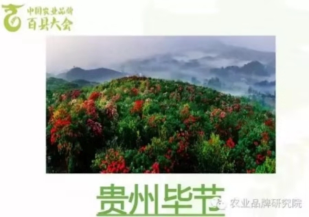 微信图片_20191119140806.jpg