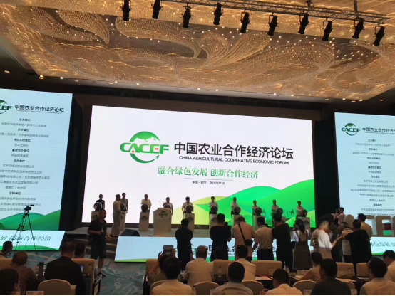 Img499522826.png Img499522826.png