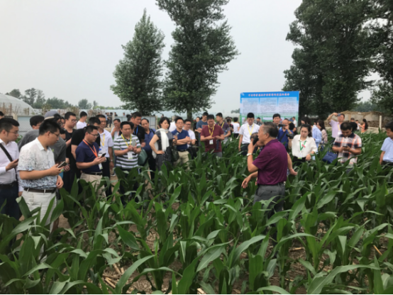 Img499522828.png Img499522828.png