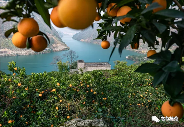 66c7d54834c144085caf47ecc45ab71c.png 66c7d54834c144085caf47ecc45ab71c.png