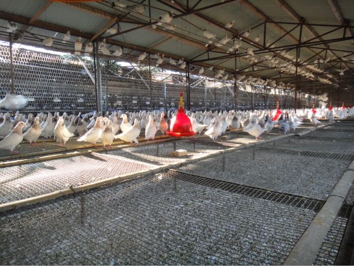 1614169743326_6036468f6dc4810203796538.png 1614169743326_6036468f6dc4810203796538.png