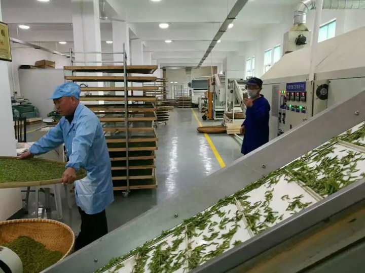 1614169743824_6036468f6dc481020379653e.jpg 1614169743824_6036468f6dc481020379653e.jpg