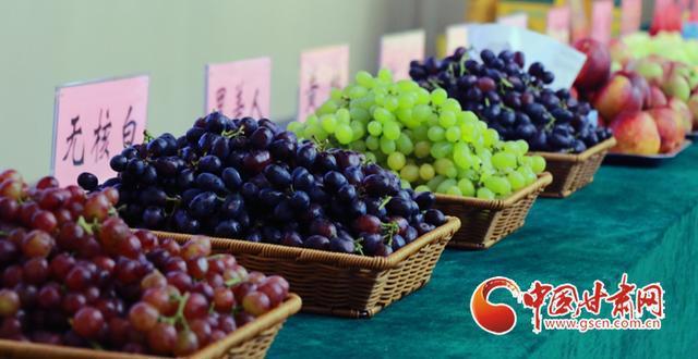 91ef76c6a7efce1b721aec88f2adc3d9b58f6546.jpg 91ef76c6a7efce1b721aec88f2adc3d9b58f6546.jpg