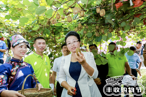 1598870936443.png 1598870936443.png