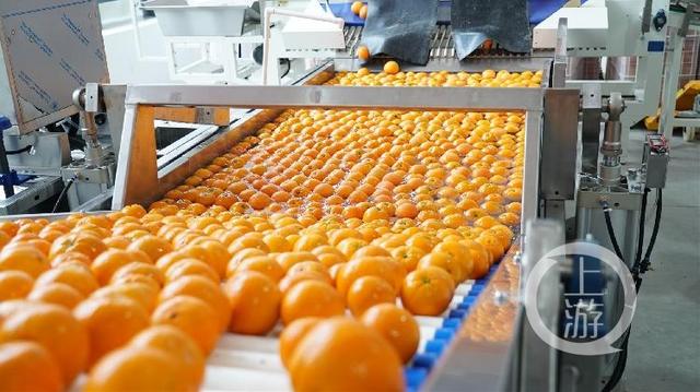 9358d109b3de9c820590038895e98b0218d843b5.jpg 9358d109b3de9c820590038895e98b0218d843b5.jpg