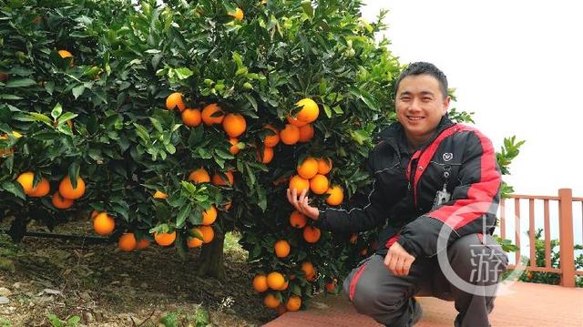 5d6034a85edf8db144a34049f24bd65c574e74fa.jpg 5d6034a85edf8db144a34049f24bd65c574e74fa.jpg