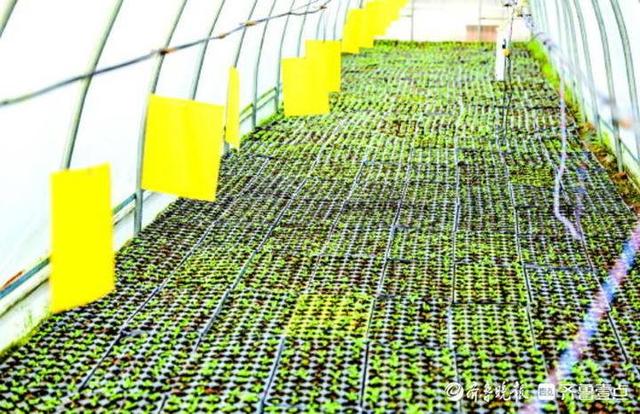 63d9f2d3572c11df78c32f9650dc1dd7f603c27c.jpg 63d9f2d3572c11df78c32f9650dc1dd7f603c27c.jpg