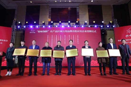 c01_9beeae75-3ffa-4c1f-b99f-120768087cdb_1.jpg c01_9beeae75-3ffa-4c1f-b99f-120768087cdb_1.jpg