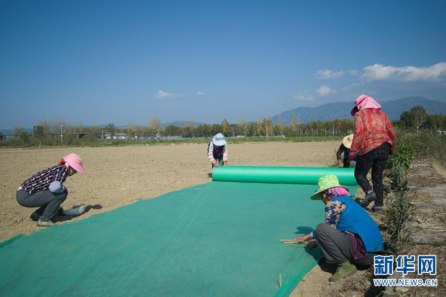 139866565_16178563293081n.jpg 139866565_16178563293081n.jpg