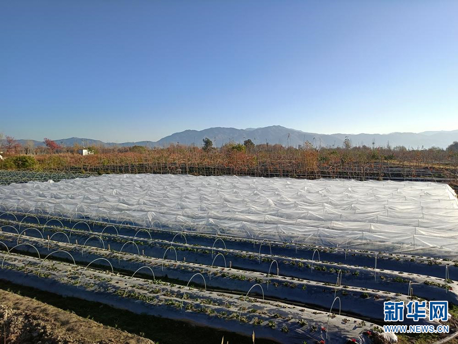 139866565_16178563292231n.jpg 139866565_16178563292231n.jpg