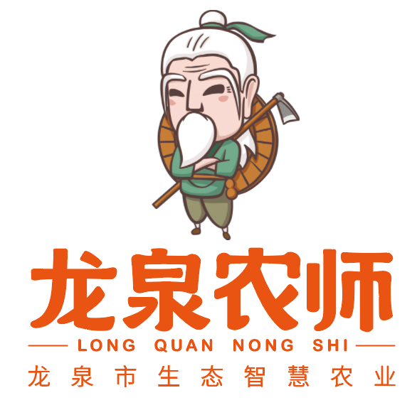 1604387845240_5fa10405159bb83cdca27285.png