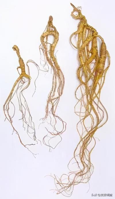 10dfa9ec8a1363279f4669c0ff4282e40afac7f4.jpg 10dfa9ec8a1363279f4669c0ff4282e40afac7f4.jpg