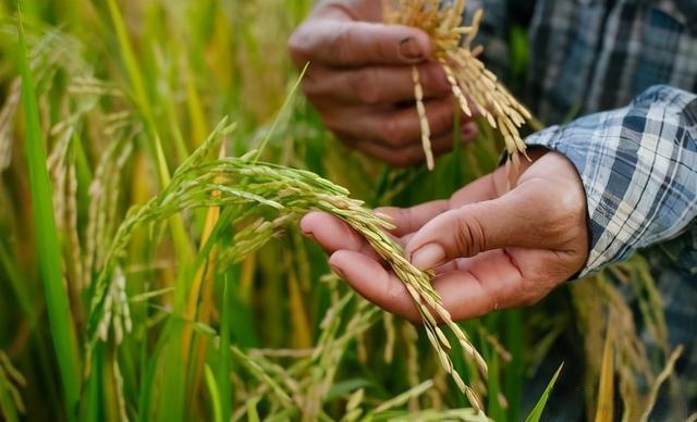 a2cc7cd98d1001e973fe81bbd7c359e456e7979d.jpg a2cc7cd98d1001e973fe81bbd7c359e456e7979d.jpg