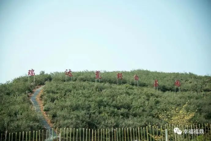 微信图片_20200706162332.jpg