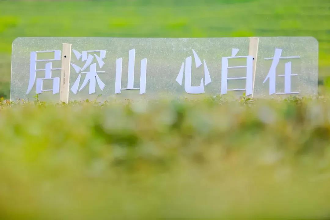 微信图片_20200422104431.jpg