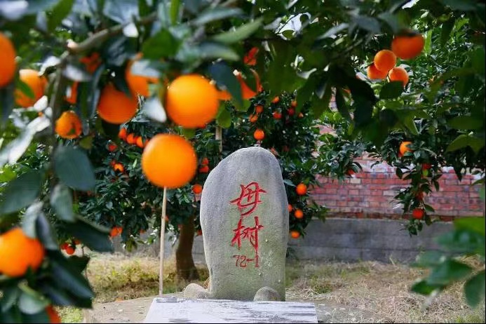 fa176c00466f8381b0e775cd2b8d6272.jpg fa176c00466f8381b0e775cd2b8d6272.jpg