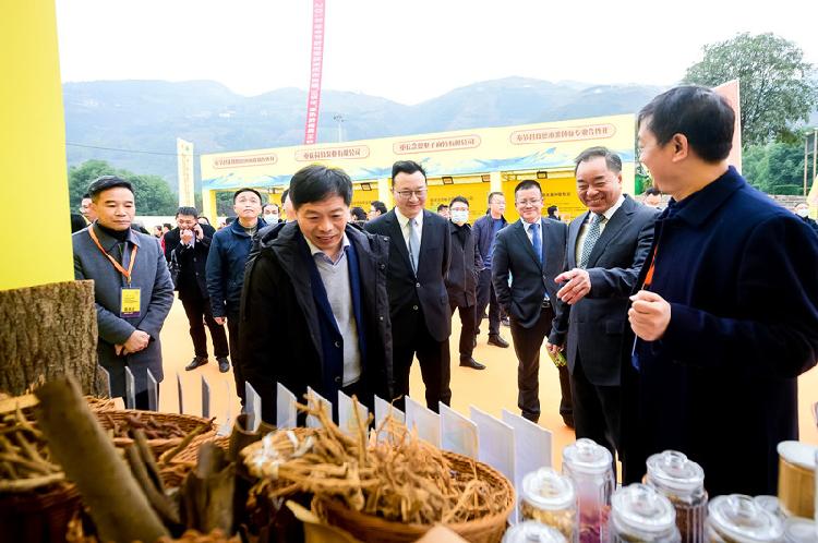 ff10bc3874bd2fb91c0c6496507a2f01.jpg ff10bc3874bd2fb91c0c6496507a2f01.jpg