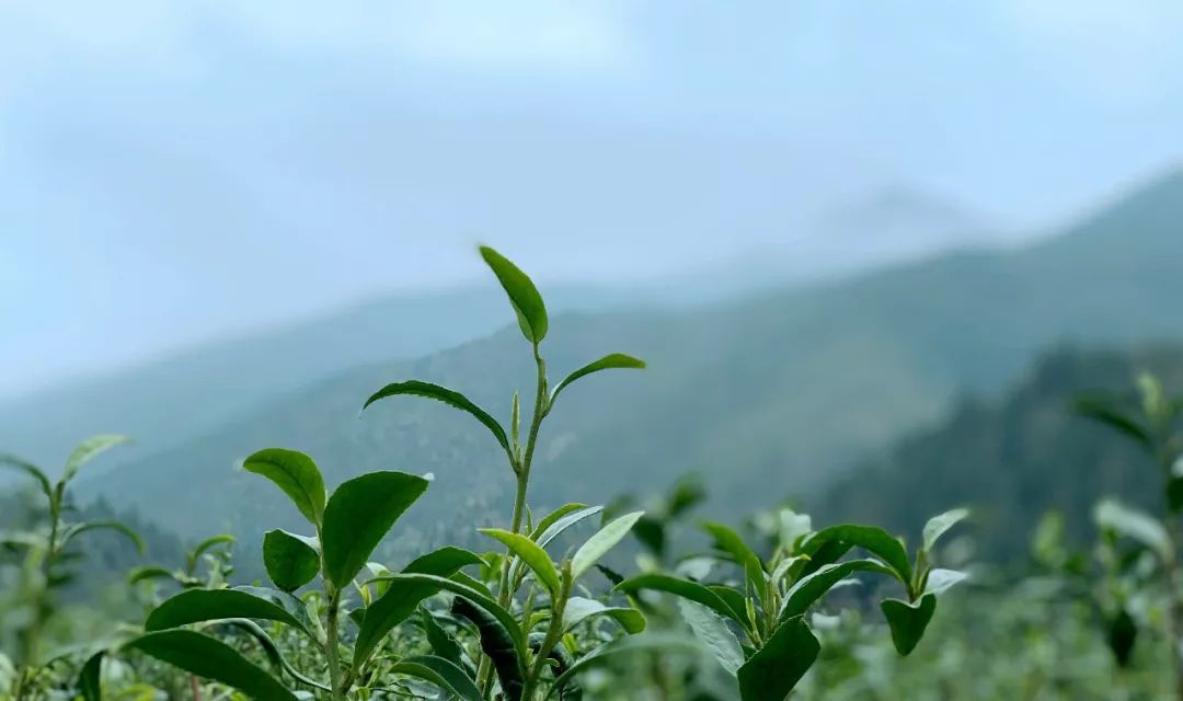 微信图片_20210319113145.png 微信图片_20210319113145.png