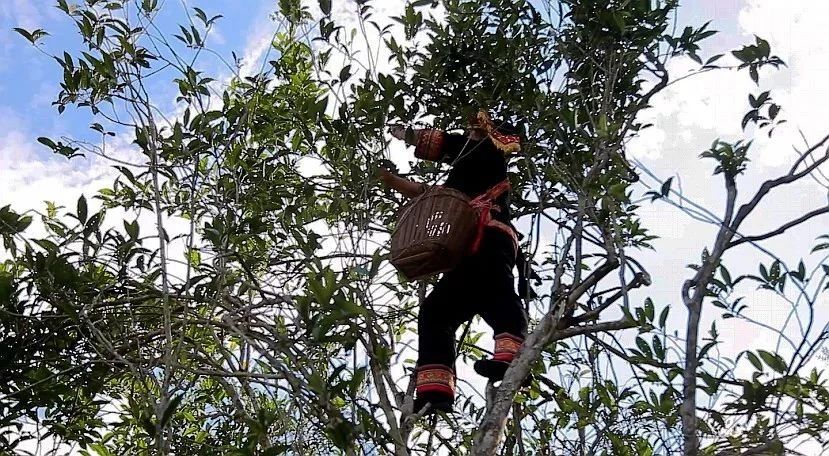 微信图片_20210319113150.jpg 微信图片_20210319113150.jpg