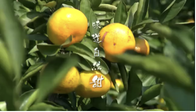 微信图片_20201207090448.png