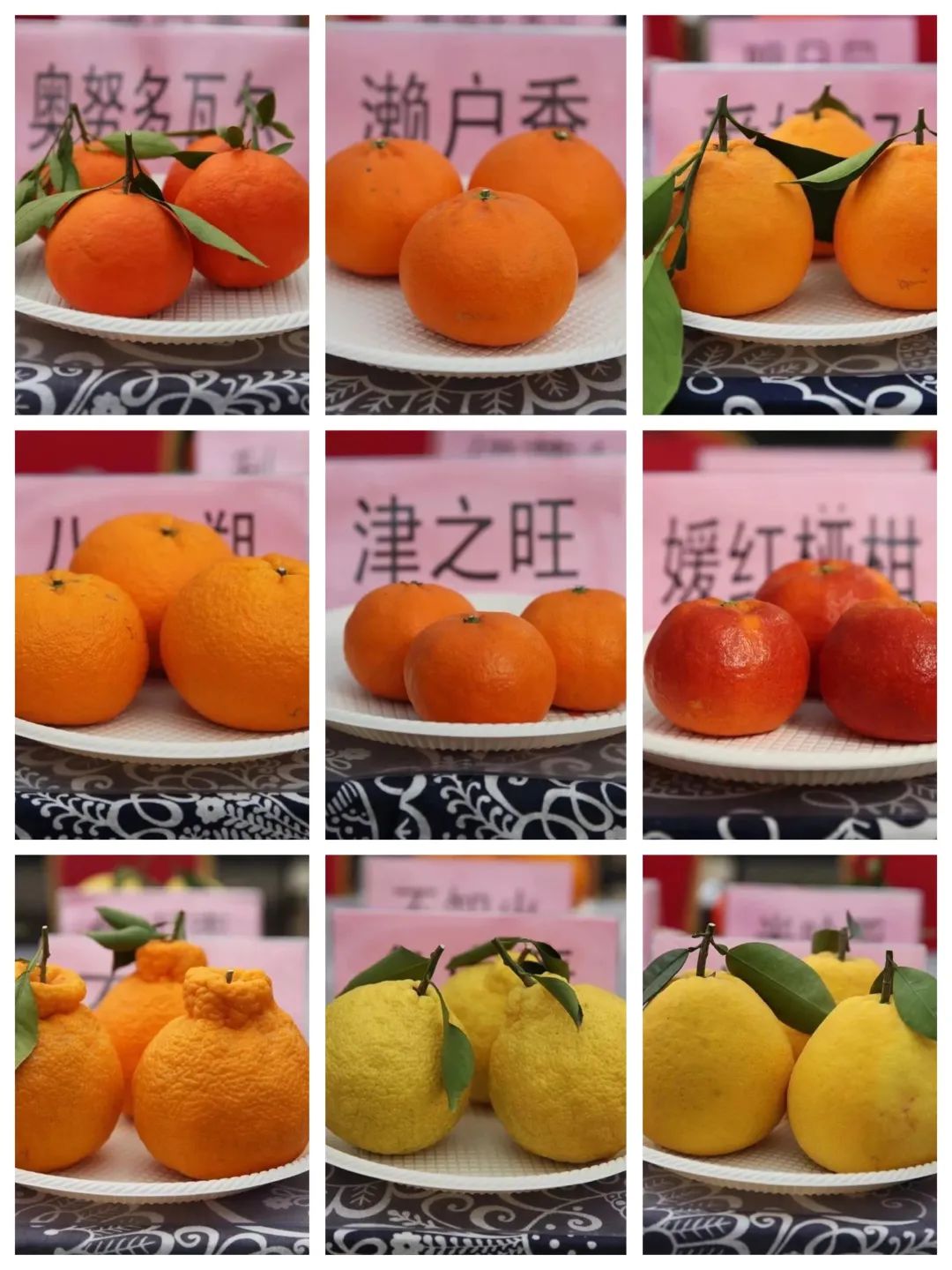 微信图片_20201207090351.jpg