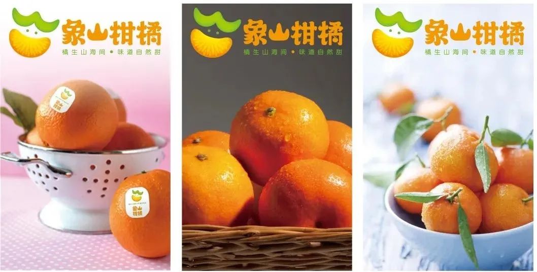 微信图片_20201207090453.jpg
