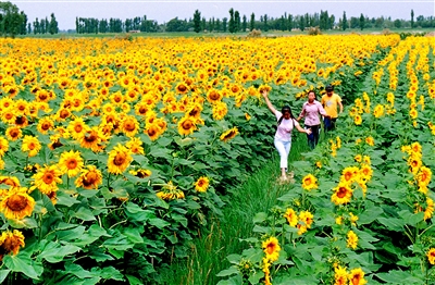 06092434vu2b.jpg 06092434vu2b.jpg