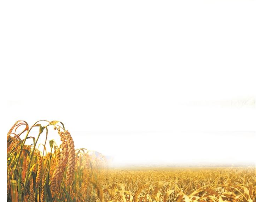 2bcdc431-4833-4bec-a052-b968ebcc81f6.png