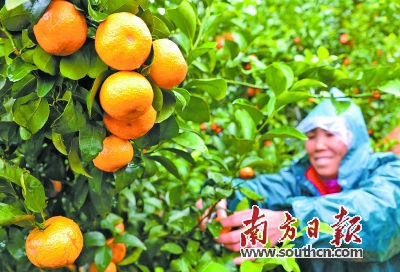 1126422484_15985740295681n.jpg 1126422484_15985740295681n.jpg