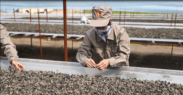 cefc1e178a82b90125132a86e2098e7f3812ef52.png cefc1e178a82b90125132a86e2098e7f3812ef52.png