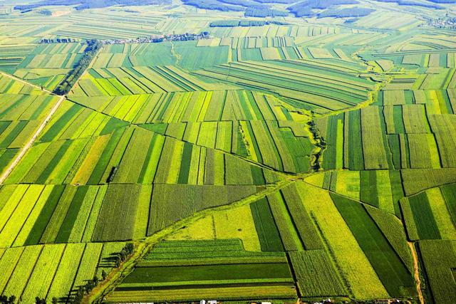 aec379310a55b3196be3745cd22da52ecffc1709.jpg aec379310a55b3196be3745cd22da52ecffc1709.jpg