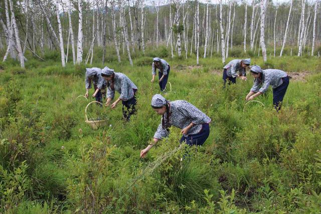 dc54564e9258d1090d61b3f040dcebb76d814d7a.jpg dc54564e9258d1090d61b3f040dcebb76d814d7a.jpg