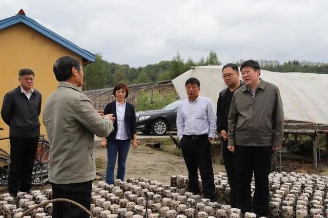 b21c8701a18b87d640cf7911dab1c23f1e30fd75.jpg b21c8701a18b87d640cf7911dab1c23f1e30fd75.jpg