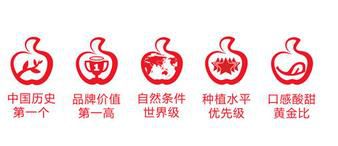 支撑图形.jpg