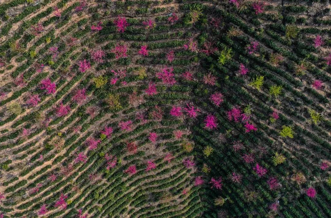 微信图片_20210301105850.jpg 微信图片_20210301105850.jpg