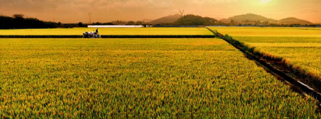 微信图片_20210301105814.jpg 微信图片_20210301105814.jpg