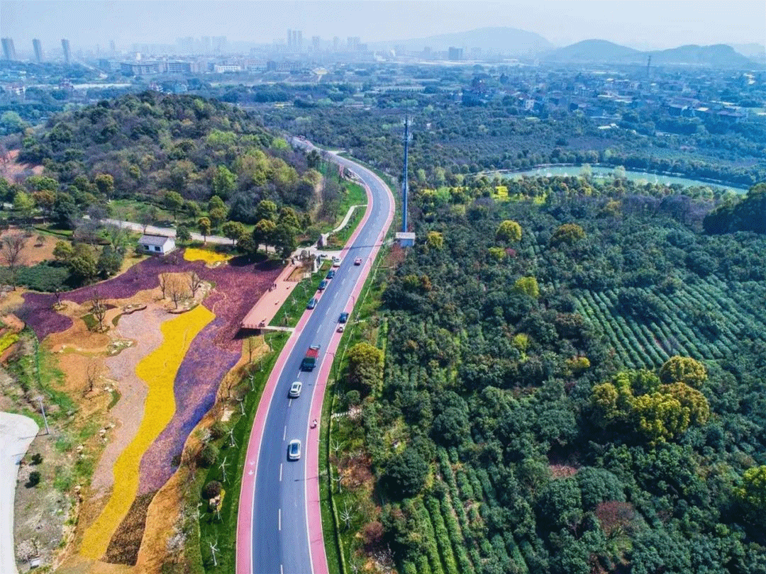 微信图片_20210301105941.gif 微信图片_20210301105941.gif