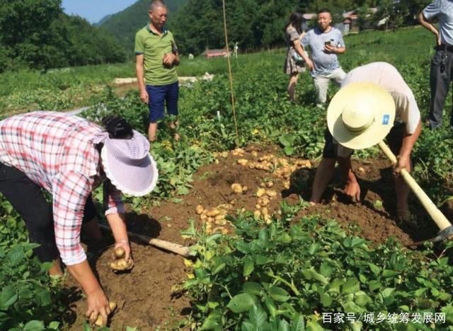 fc1f4134970a304eb8f317fdac60bd8ec8175c10.jpg fc1f4134970a304eb8f317fdac60bd8ec8175c10.jpg