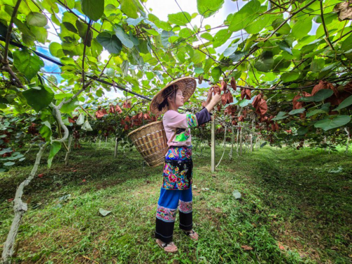 32fa828ba61ea8d394224c2787ae1c49251f583f.png 32fa828ba61ea8d394224c2787ae1c49251f583f.png