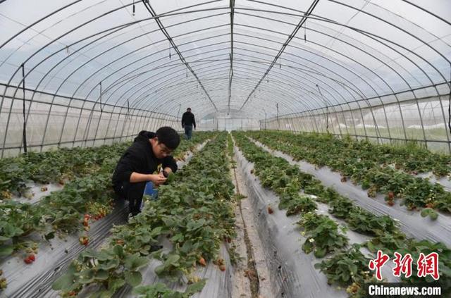 9358d109b3de9c8220161166e742ce0218d84330.jpg 9358d109b3de9c8220161166e742ce0218d84330.jpg